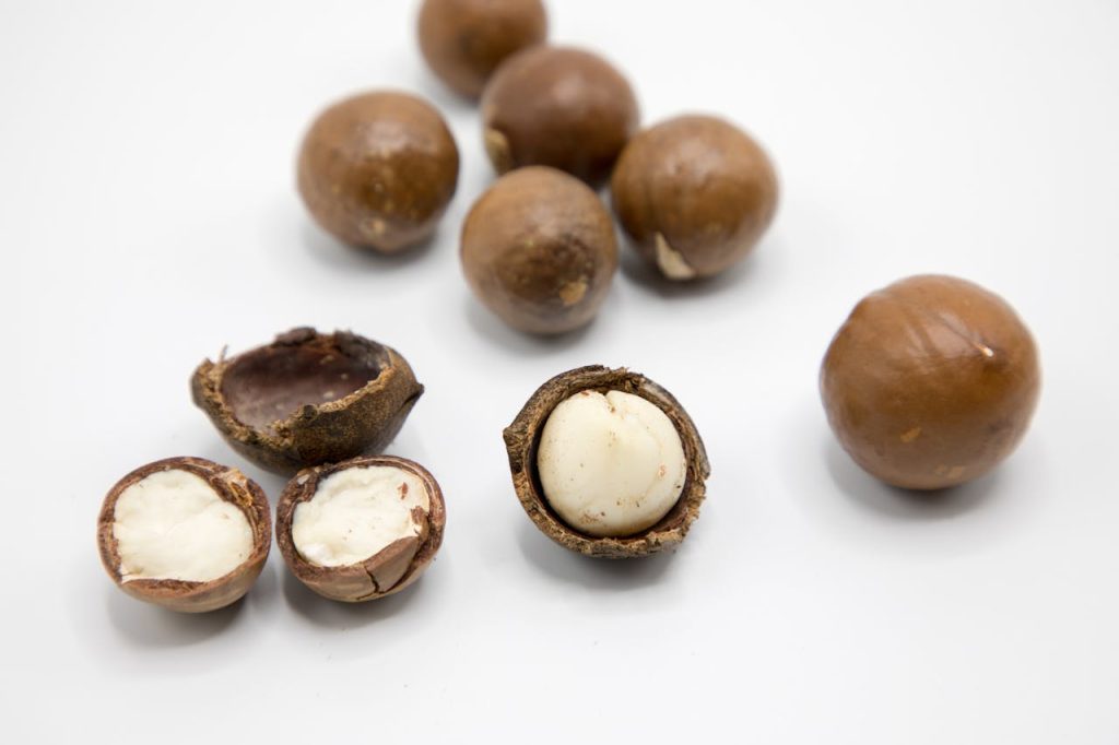 macadamia shells