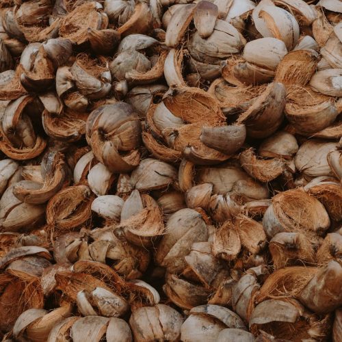 coconut shells